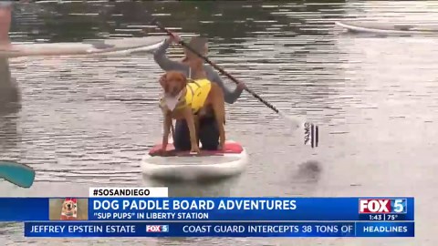 Sup Pups offers dog paddleboarding adventures
