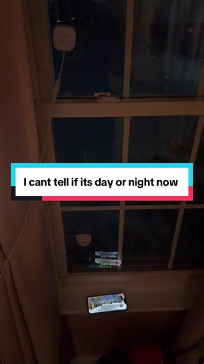 Amazing Night Vision Camera Revealed!