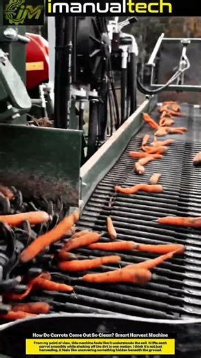 How Do Carrots Come Out So Clean? Smart Harvest Machine