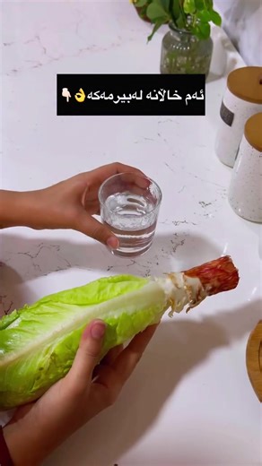 فيديوهات أنشأها zryan.blogger (@zryan.blogger) باستخدام original sound - zryan.blogger