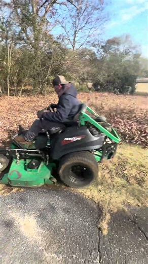 Another leaf clean up! #landscaping