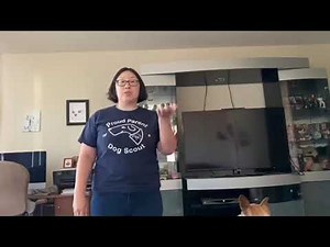 Obedience Hand Signals: Sit, Down, Stand, Stay & Stop