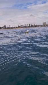 32K views · 309 reactions |  TURTLE RESCUE AT MANLY  A giant...