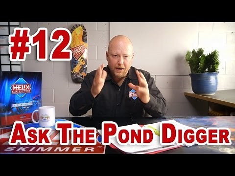 New Pond Start Up, Pond Size, Safety - Ask T.P.D. Show 12