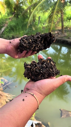 Termitas #fishing #fishermen | termitas