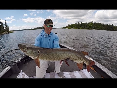 Musky Fishing Secret Tool on Lake of the Woods