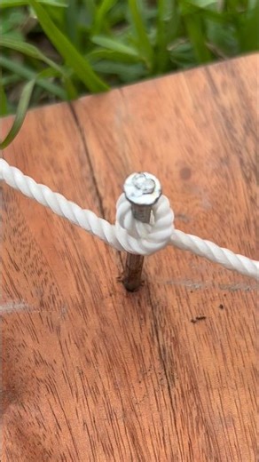 Knot Made Easy. #shorts #knotting