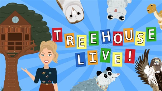 1K views | Want to be a TV star?! Be a part of the live recording of...