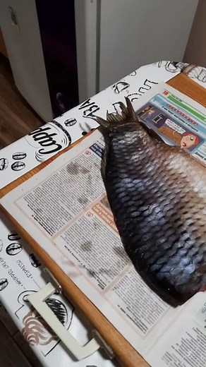 Freshwater Fish Cleaning Process Explained