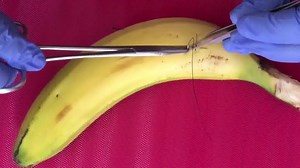 Sutures on Banana | DrKnowledge