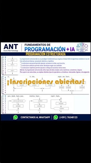 Programación Estructurada