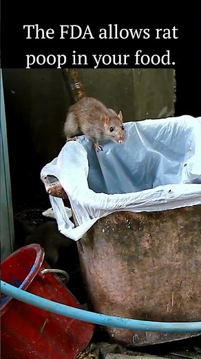 The FDA allows rat poop in your food