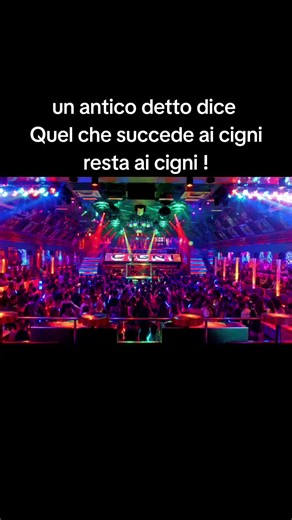 #creatorsearchinsights #discotecaduecigni #alexcastelli #neiperte #fypシ゚