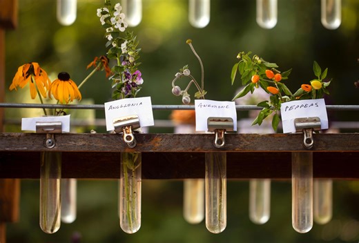 Cincinnati Zoo's botanical garden ranked among America's best