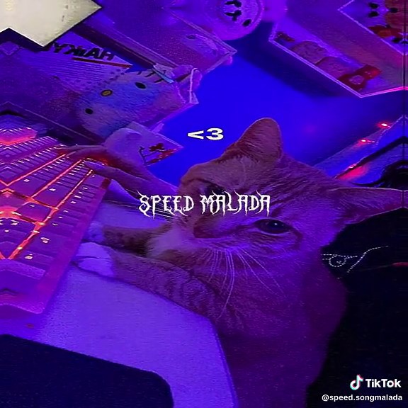 Phonk: O Que É e Como Melhora Seu Dia