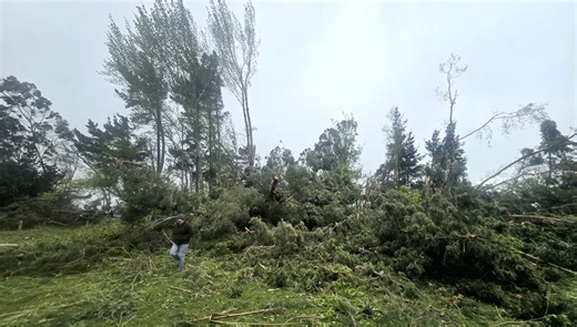 'Significant progress' in restoring power to South