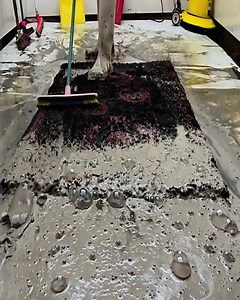 The dirtiest carpet slowly coming back to life #rug #carpet #satisfying #rugcleaning #carpetwashing #carpetcleaning #carpetpython | Awesome Carpet