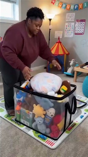 Foldable Storage Boxes with Lids |