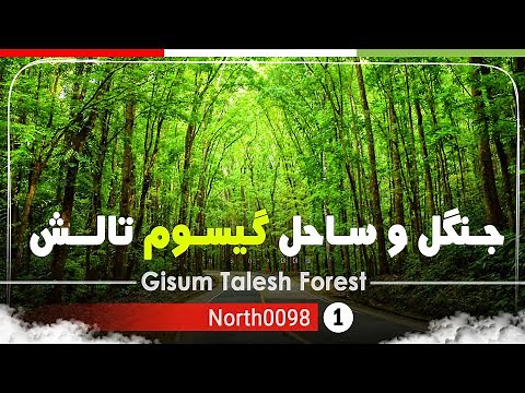 گردش در جنگل و ساحل گیسوم تالش,گیلان,شمال ایران - Gisum Talesh Forest,Gilan,North of Iran