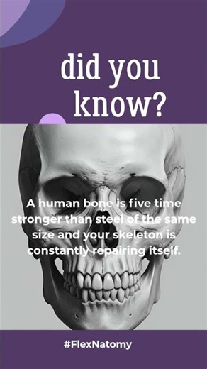 Most people have NO IDEA their body does this #shorts #humanbodyfacts #reveal