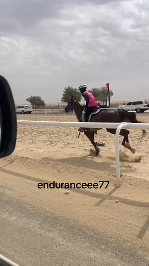 Divine de Traclin: La Magie de l'Endurance Équestre