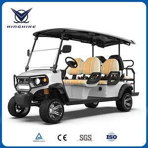 [Hot Item] Motorized Golf Caddy Cool Custom Golf Carts