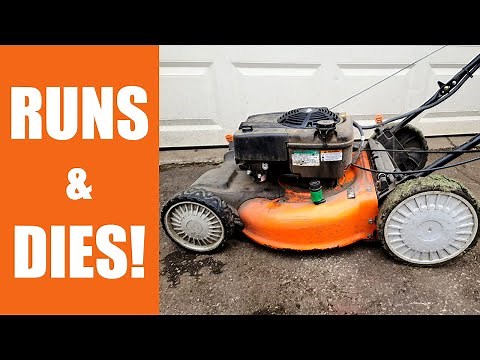 This Lawnmower Starts & Dies And Makes A Strange noise - Let's Fix It!
