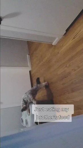 The Mount Tech Etx on TikTok