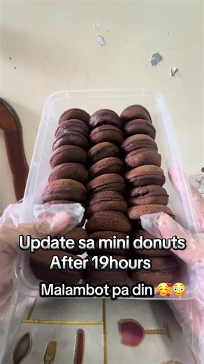 Delicious Mini Donut Recipe for Soft Treats