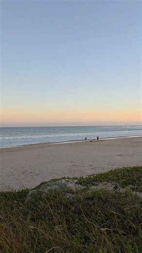 15K views · 92 reactions | Gretha Wiid on Reels | Facebook