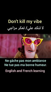 Don't kill my vibe... | English and French Learning