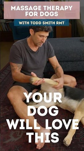 How to Massage Your Dog’s Leg Joints | Help Your Pup Move Better and Feel Great