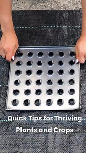 13K views · 47 reactions | Homestead Gardening Hacks: Quick Tips for Thriving Plants and Crops | 5-Minute Crafts Green | Facebook