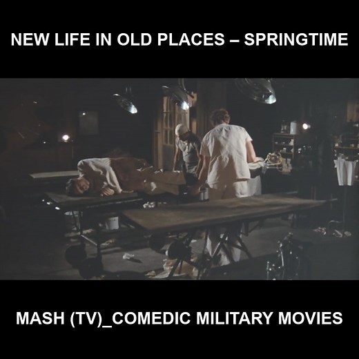 49 reactions | New life in old places – Springtime - Mash (TV)_Comedic military movies | Mash 4077 Series | Facebook