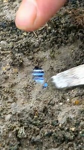 2.7M views · 18K reactions | Ohh wow   #crystals #bangles #jadejewelry #gemstone #jade #jadeite #pendant #opal #nephrite #bracelet #jewelry #NaturalJade #luxury #JadeBangle | Vem Dom | Facebook