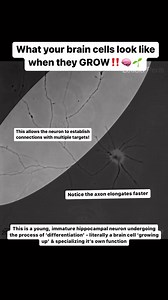 OUR BRAINS ARE WIRED FOR LEARNING 易 #MindfulMonday Newborns come...