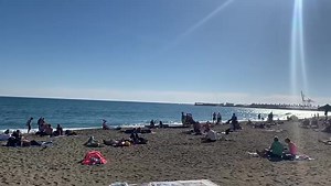 Playa de la Malagueta ahora. 25/11/23. ⛱️ Video de Eloísa Morales | Málaga ayer y hoy