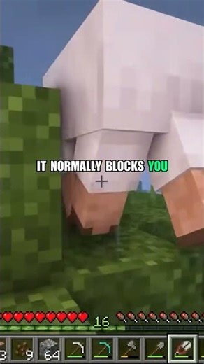 Minecraft Exploit That Changes Everything 🚀 #shorts