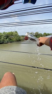 Cách câu cá độc lạ ở quê mình các bạn thử chưa #xuhuong #sanghailua | Sang Hai Lúa