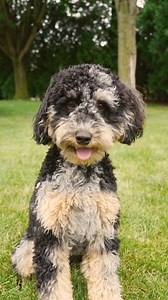 Why Non-Toxic Matters: 💚 Because protecting your home shouldn’t come at a cost to what you love most. #nontoxic #catchmaster #pestcontrol #simplesolutions #pestprevention #nontoxicpestcontrol #pestpreventiontips | Catchmaster