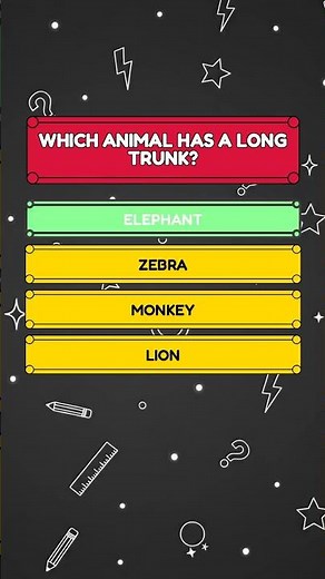 Animal Quiz: Which & Animal | Can You Answer All 3 Questions?