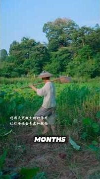 Ancient Bamboo Paper Making Process | Traditional Craft