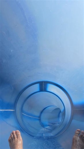 2.9K reactions · 11 shares | Keep the party going all summer long with 3X points on food and fuel with the More Rewards American Express® Card. | Navy Federal Credit Union | Facebook