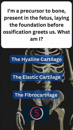Fun Fact About Your Bones! 🦴 #SkeletalSystem 22
