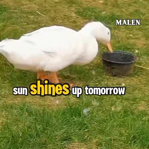 Crying time Cover song :Aljun Cayawan 📌No Copyright Infringements Intended.. I do not own the Music in this Video..All Rights belong to the Owner,Music Writer,Composer,Singer... | Malen