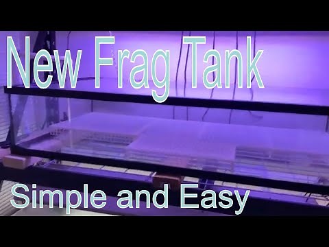 How To Set Up A Coral Frag Tank