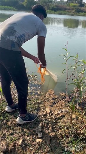 Ek Hi Throw Mein Giant Monster Fish 😱🔥 | Cast Net Fishing Ne Sabko Shock Kar Diya! 🐟💥 #shorts