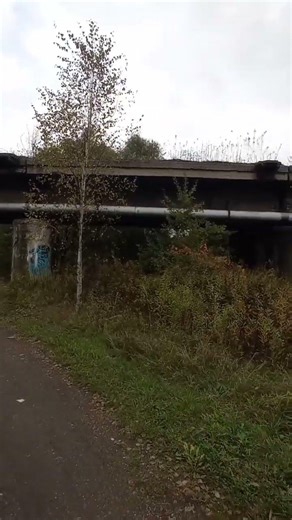 Wiadukt dawnej linii piaskowej P311 w Bytomiu