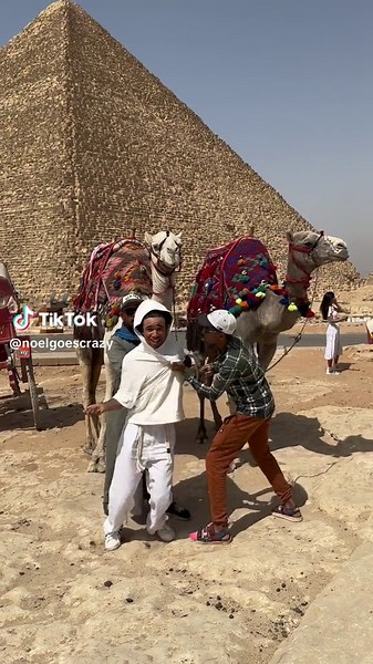 noelgoescrazy on TikTok