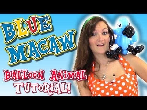 BLUE MACAW PARROT Balloon Animal Tutorial - Learn Balloon Animals with Holly!